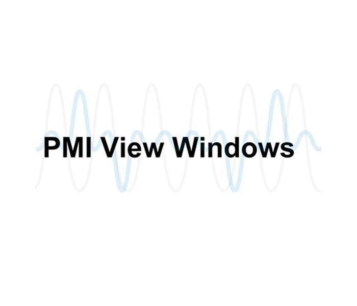 PMI View Windows Logo with waveform in background