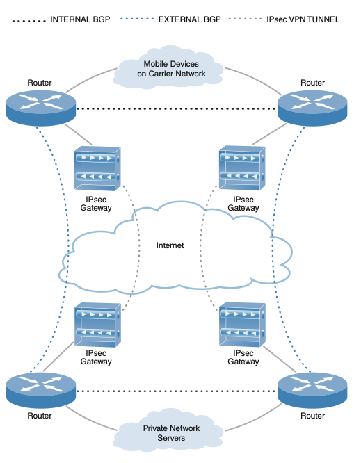 Figure 1. Conceptual schematic of completed APN configuration