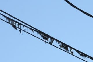 Picture showing melted CATV coax cable caused by a loose neutral