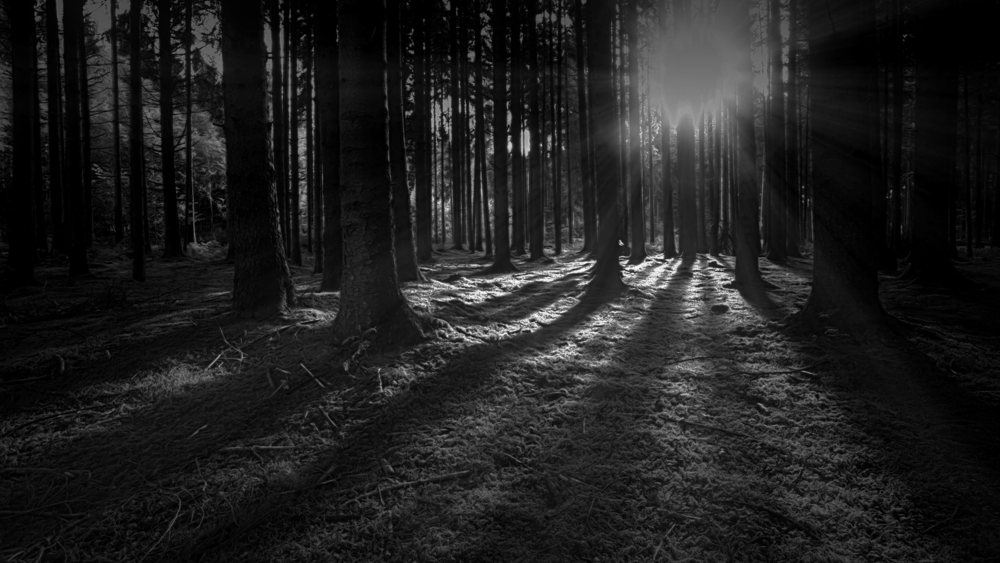 Power Monitors, Inc Power Quality Analyzers and Monitors Wireless